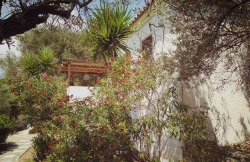 Vigla-Βίγλα 1 2 - Photo 49