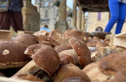 Studio de charme dans grange rénovée - Foto 24