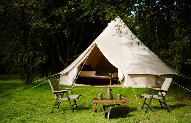 The Forest at Mount Congreve Gardens - Foto 19