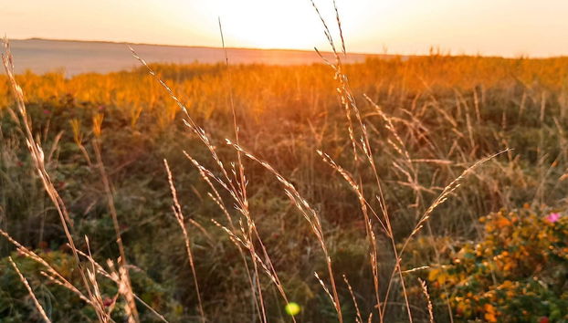 4 Person Holiday Home in Romo-by Traum - Foto 4, Miscelánea