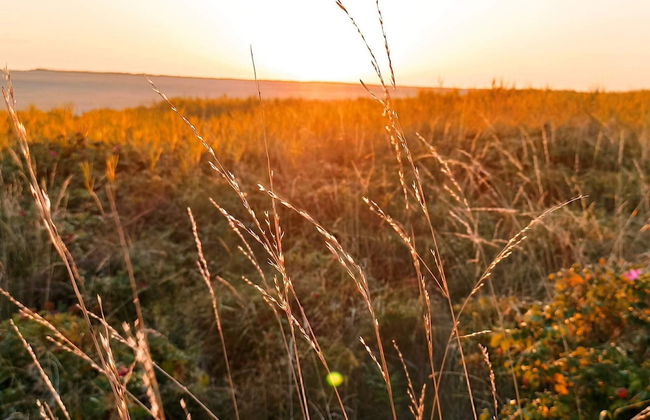 12 Person Holiday Home in Romo - Foto 12