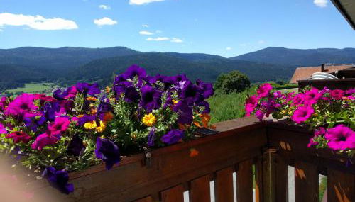 Appartementhaus Himmelreich - Foto 2