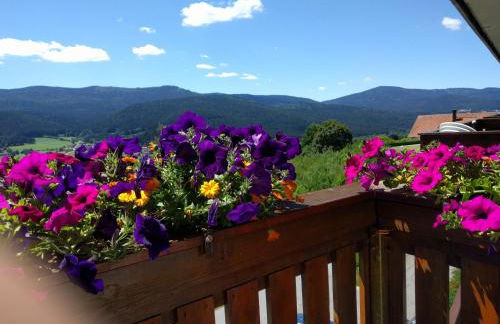 Appartementhaus Himmelreich - Foto 2