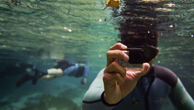 Snorkelling in the Sucuri River - Foto 2