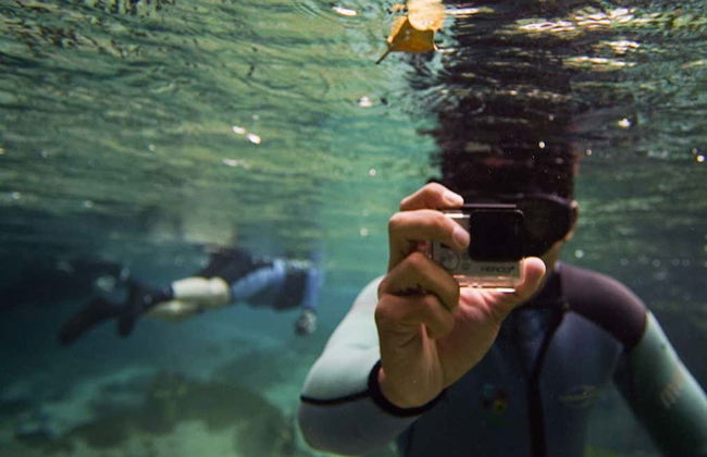 Snorkelling in the Sucuri River - Foto 2
