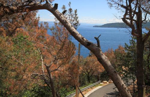 Apartments by the sea Brsec, Opatija - 2359 - Foto 20