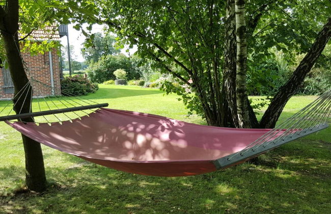 Holiday Apartment Aufderhaar - Photo 15