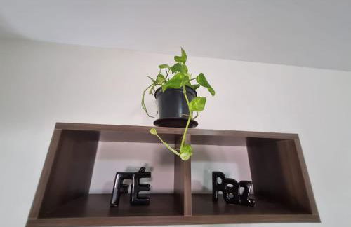 Espaço do acalanto- Quarto em apartamento compartilhado - Photo 23