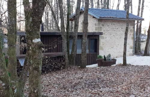 Le gîte de la cabane de l'oiseau - Foto 5