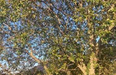 Benbradagh Country Cottage Causeway Coast - Foto 35