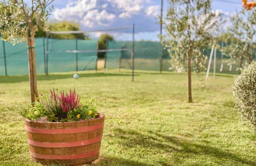 Appartman Rozana - Foto 10