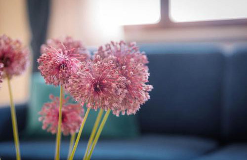 Apartments Olivia & Navy, Šilo - Photo 18