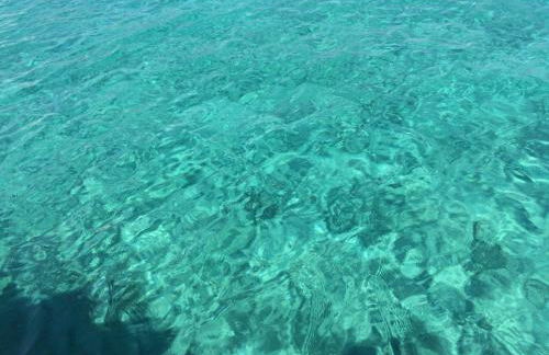 casa Mario e Stefanina - Foto 14