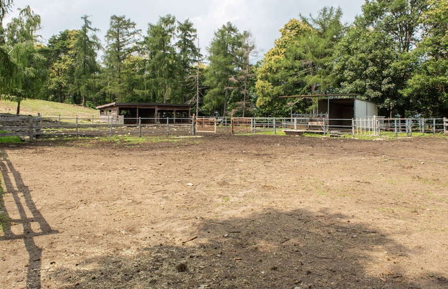 Farmhouse in Verbania With Lake Views - Foto 13