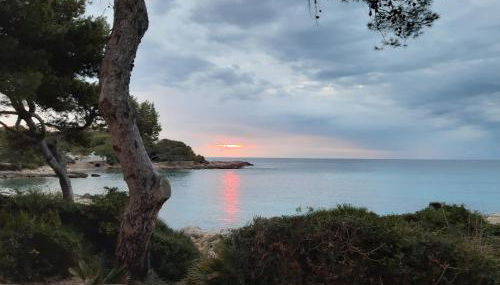 Can Caragol - Foto 2