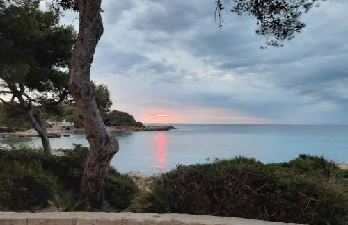 Can Caragol - Photo 2