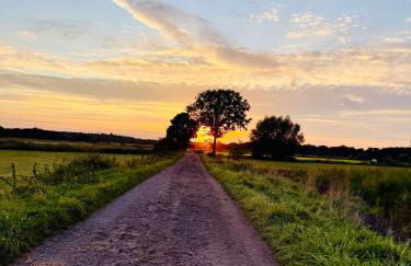 Q80 Appartement - Foto 44