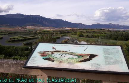 La Barbacana - Foto 3