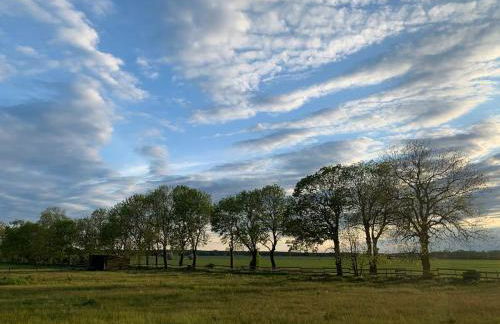 Landidyll - Bauernhaus Ländchen Bellin - Photo 55