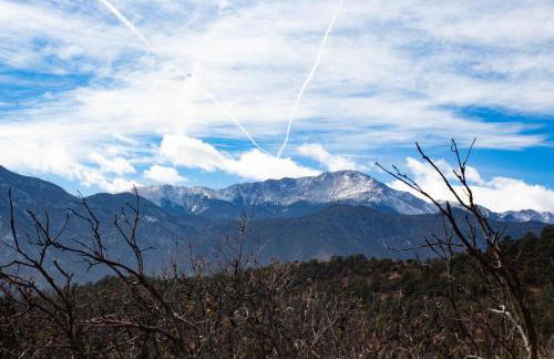 Big Bear Cabin - Foto 22