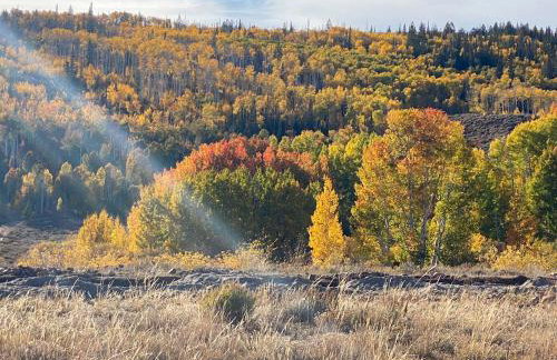 Whistle Pig Retreat at 22 West Cabins and Recreation - Foto 48