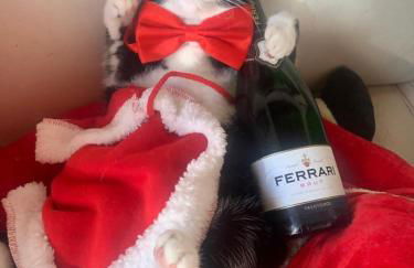 PiazzaItaliaSuite appartamento con terrazza - Foto 28