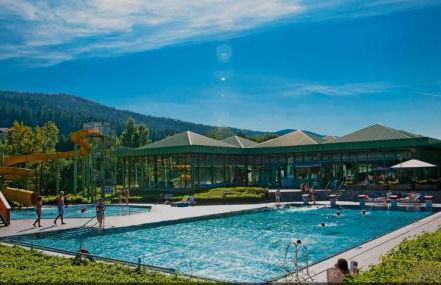 Ferienwohnung Osserglück - Foto 32