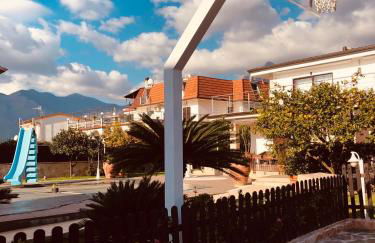 Boccy Brothers - Foto 67