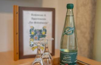 Pension "Zur Schloßwache" Delitzsch - Foto 24