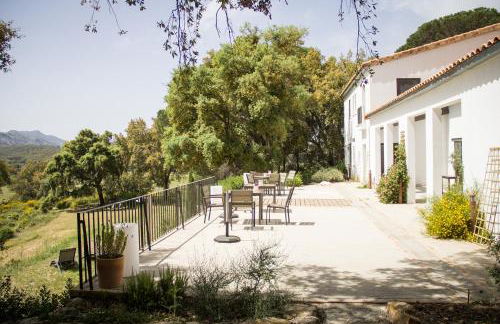 Tambor Del Llano - Foto 22