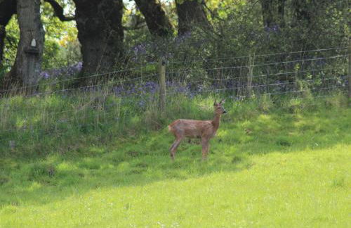 Millbrook Cottage - Foto 28