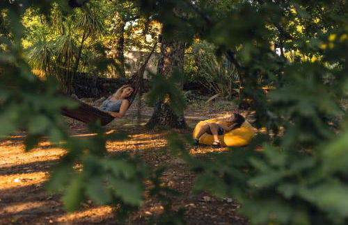 Casa das Palmeiras - Pedagogic Farm - Foto 52