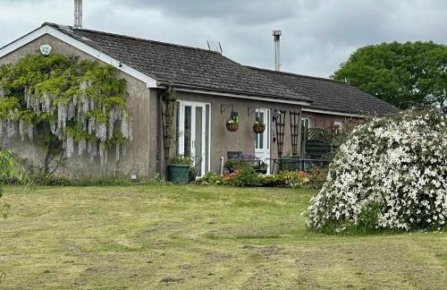 Blackthorn Meadow - Photo 6