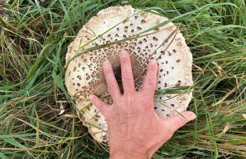 dla mnie się podoba - Foto 59