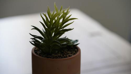 Risca Retreat - Photo 5