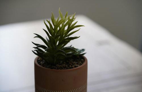 Risca Retreat - Foto 5