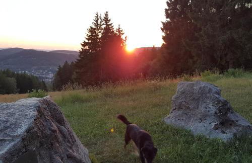 Ferienhaus Am Kirchberg - Foto 22