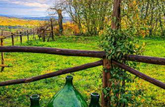 Agriturismo Casale 1921 - Foto 19