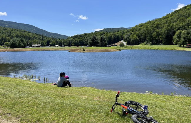 B1 NEW Awesome Tiny Home With A C Mountain Views Minutes to Skiing Hiking Attractions - Foto 17