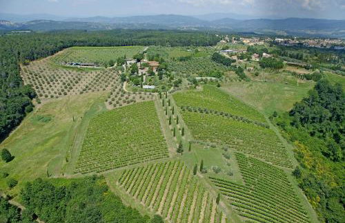 Salvadonica - Borgo del Chianti - Foto 111