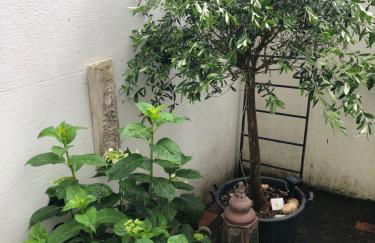 Olive Tree Apartment Hove - Foto 24