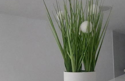 El Cantillo del Jerte - Foto 23