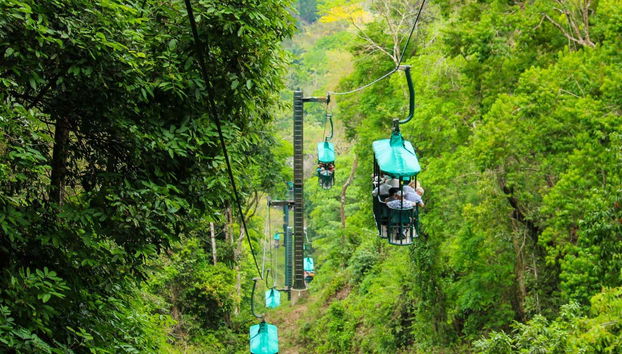 Billet pour le parc d'attraction Rainforest Atlantic - Photo 3, Téléphérique
