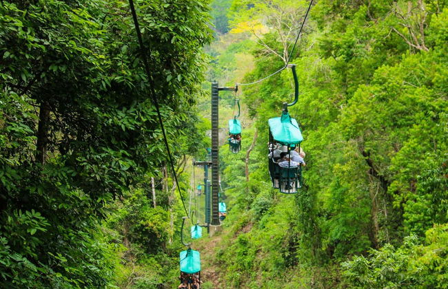 Billet pour le parc d'attraction Rainforest Atlantic - Photo 3