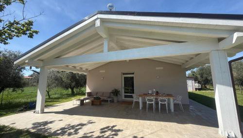 Casa RiVa - Among olive trees and the Tuscan coast - Foto 2