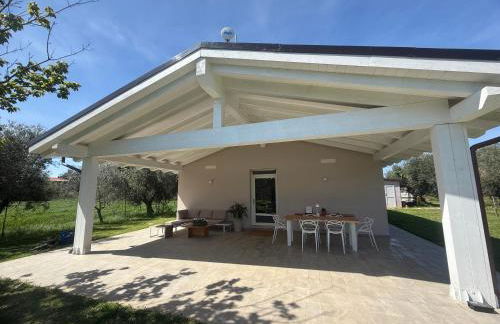 Casa RiVa - Among olive trees and the Tuscan coast - Foto 1