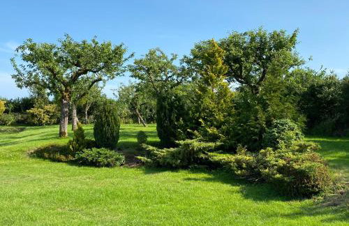 Wolfin Farm Accomodation - Foto 2