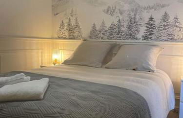 Magnifique T2 -Au creux du Jura- Saint Claude - Foto 11