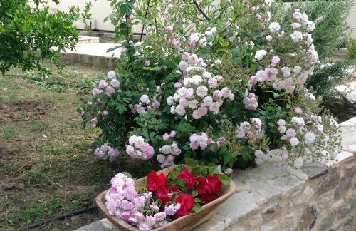 Chaihoutes stone House and Villa into Olive farm in Zia - Photo 47