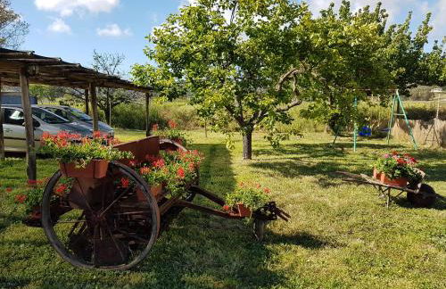 Agriturismo S. Agostino - Foto 26